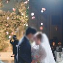 라메르블룸 이미지