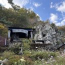 국화황토공원 | 부산 단풍구경 금정산 케이블카 타고 가는 방법