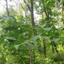 수배농장 이미지