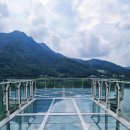 황금비늘 테마거리 | 강원도 춘천 산책로 의암호스카이워크 공지천유원지 황금비늘테마거리