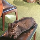 하남대로302번길 이미지