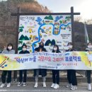 정선 청년몰 이미지