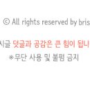 흥아주유소 이미지