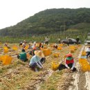 대명5동 주민센터 이미지