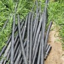 철탑 농장 이미지