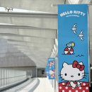 내돈내산 후기 프라다 바이커백 M 착용샷 가격 2VH994