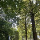 풍요로운 기다림 | Art-G | 호수뷰와 갤러리를 동시에 즐길 수 있는 복합문화공간 카페 | 용지호수 | 내돈내산 | 솔직후기