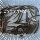 독정낚시터 | 안성시 원곡면 독정낚시터 하우스 빙어낚시