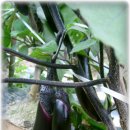 이천농장 이미지