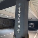 별을 마시다 | [동물병원] 밤 11시, 달래 데리고 야간 동물병원 다녀온 후기 (리베동물메디컬센터)