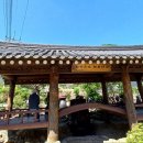 효석문학100리길 제2구간 이미지