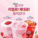 팔공티 이미지