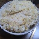(주)고래실 이미지