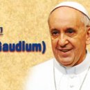 Gaudium(가우디움)