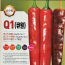제일농약사 | [공지] 2026년 #바른씨드 고추품종 안내드립니다.