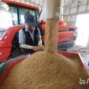 농민농약종묘 이미지