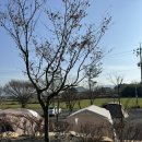 경북 경주 신생캠핑장 아름드리캠핑장 2내돈내산 후기 (B9,A1사이트)