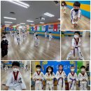 태권도충효체육관 이미지