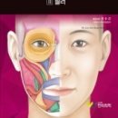 보톡스와 필러의 정석, 2/판- II 필러편 [성보의학서적 보톡스 필러편 신간의학도서 목록안내]