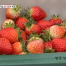 인범농장 이미지