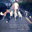 임현곤 반려견 교육센터 이미지