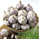 정동영농조합법인 이미지