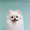 러블리루비 이미지