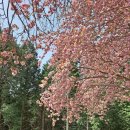 와룡산청룡사앞 이미지