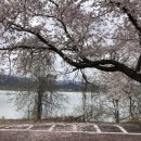 후평동 429-17 이미지