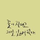 티오 Daum카페