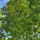 강원도농업기술원 미래농업교육원 이미지