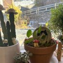 키친온유 이미지