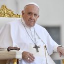 시그니스 이미지