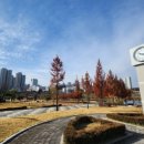 양주 평화의 소녀상 | 양주 옥정 호수공원 밤 풍경|조명과 물빛이 만든 야간 힐링 산책 풍경