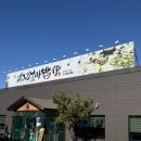 삼합세천 | 팔공산 엄마밥상 다사세천점 방문후기