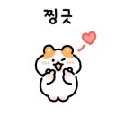 하이,포포 이미지