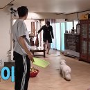 애견 마스터인데 강아지가 자기한테 안오자 짜증난 차승원 이미지