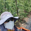 문규농장 이미지