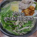 돈수육백반 | 화명동 돼지국밥 맛집 영진돼지국밥 화명점 수육백반 후기