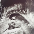 [캐나다임신]35주차 6일에 벌써 2.9Kg 이라고용? /토론토뉴본촬영 예약 maysecond_photograph