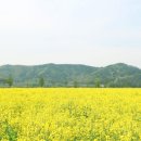 척척박사 이미지