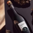 베스트 인 쇼 이미지