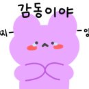 조이카광택세차 이미지