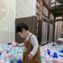키즈몽사수점 이미지