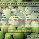 (무제초제매실농장운영)2015년 경남하동군 名品 매실 예약판매합니다(청매실,황매실). 5월 25일 예약순으로 발송 이미지