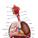 두성2 이미지