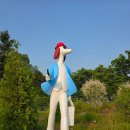 6월 3일(화) 과천시 서울 대공원 테마가든 장미축제 여행공지 이미지