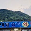 대명송어 이미지