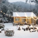 어슬티굿밤 이미지