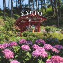 명성교통(주)정비공장 | 교토 수국 명소 미무로토지 수국정원 방문기ㅣ입장료·가는방법·개화현황